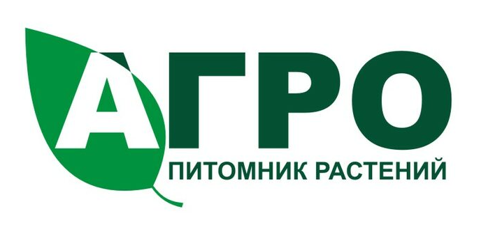 Саженцы сосны оптом от питомника производителя недорого. Купить сеянцы ...